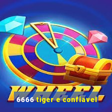 6666 tiger e confiavel